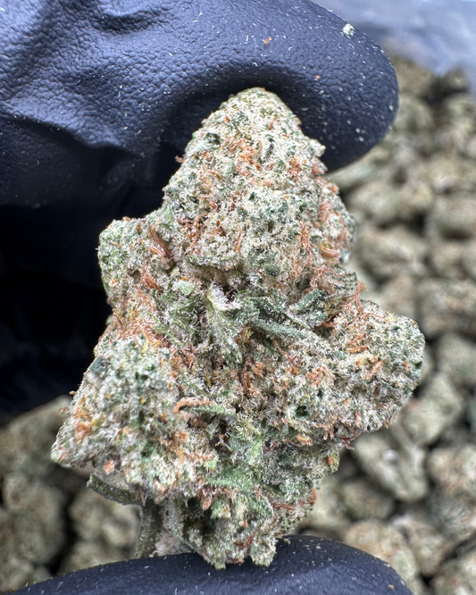 Jealousy x Kush Mintz