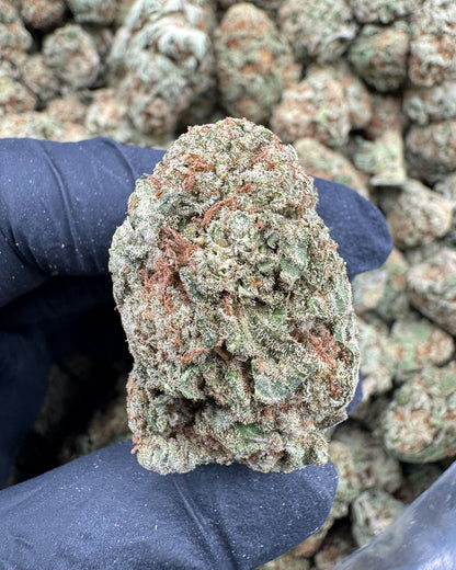 Papaya Punch
