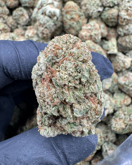 Papaya Punch