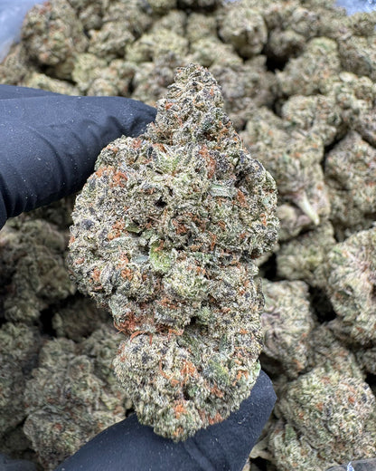 Platinum Lemon Gusher