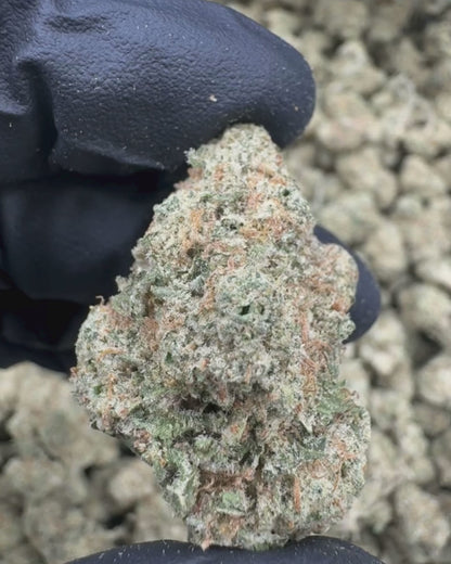Jealousy x Kush Mintz