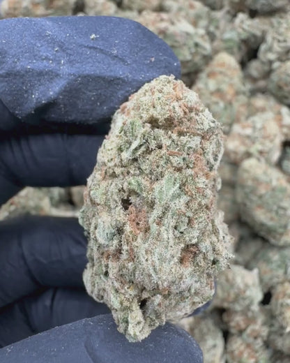 Papaya Punch