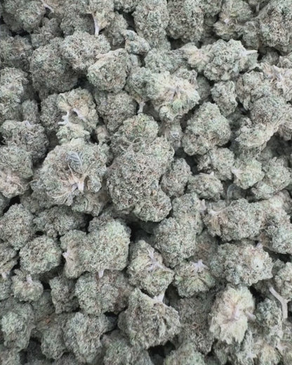 White Cherry Blaster Smalls
