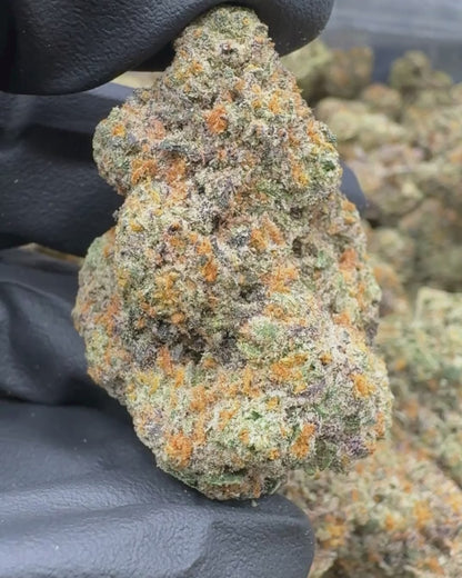 Lemon Cherry Zkittlez