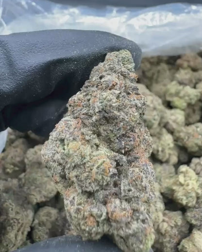 Purple Cream