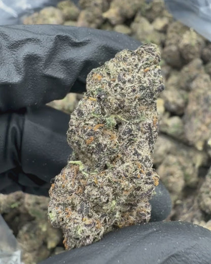 Blackout Kush